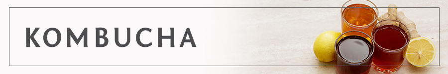 Kombucha Kombucha