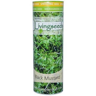 Livingseeds Heirloom Sprouting Seeds - Black Mustard