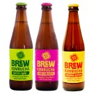 Brew Kombucha Bundle 