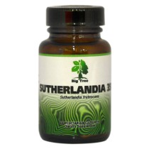 Big Tree Sutherlandia